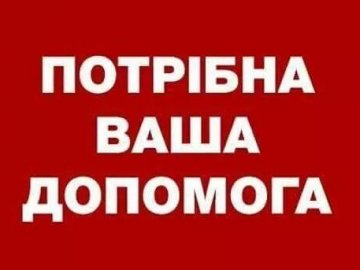 Луцькі муніципали просять власницю забрати загублені документи