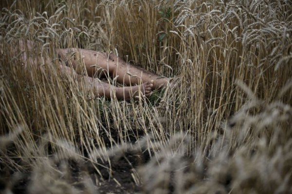 Шокуючі фото з місця авіакатастрофи на Донеччині (18+)