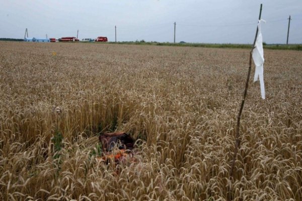 Шокуючі фото з місця авіакатастрофи на Донеччині (18+)