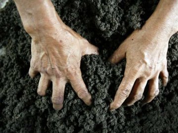 В одному з районів Волині самовільно захоплюють десятки тисяч гектарів земель