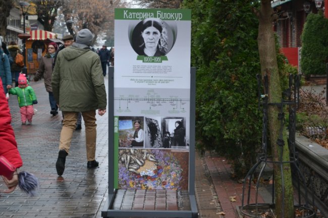 У центрі Луцька – виставка «Люди Свободи». ФОТО