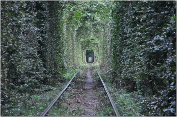 Автор фото - Павло Березюк 