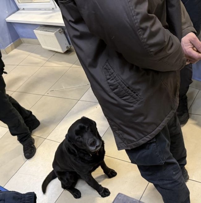 Через «Ягодин» водій вантажівки у кишені намагався провезти психотропні речовини