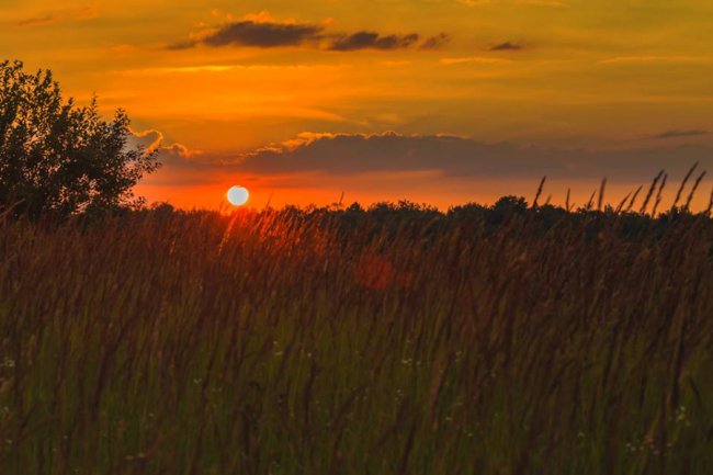Літній вечір на Волині. ФОТО