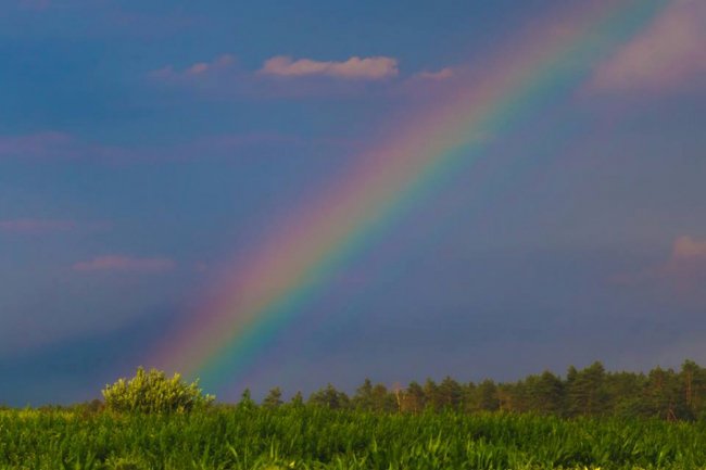 Літній вечір на Волині. ФОТО