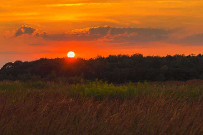 Літній вечір на Волині. ФОТО