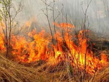 На Сході український військовий підірвався під час гасіння пожежі