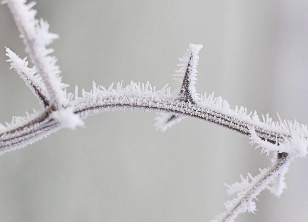 Волинь в льодяному тумані. ФОТО