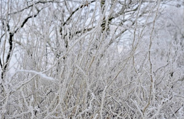 Волинь в льодяному тумані. ФОТО