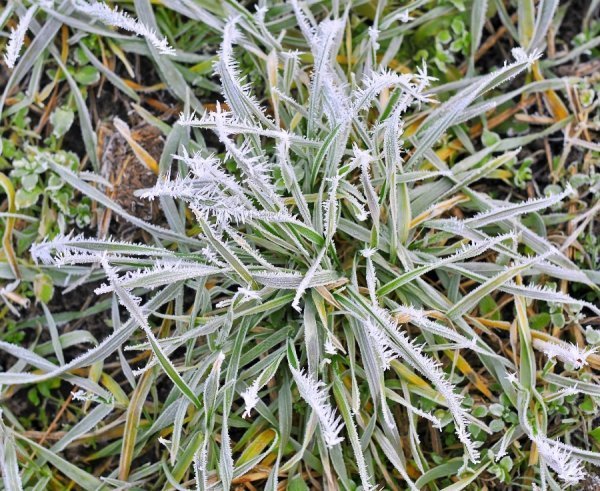Волинь в льодяному тумані. ФОТО
