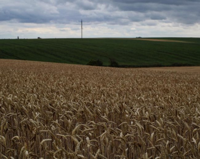 Неймовірні краєвиди природи на знімках волинської волонтерки