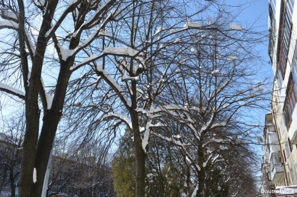 Луцьк після снігопаду. ФОТО