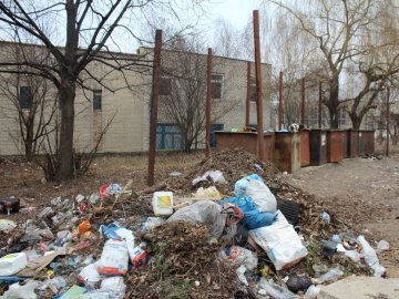 Вітер наносить, коти розносять, - нововолинці нарікають на сміття