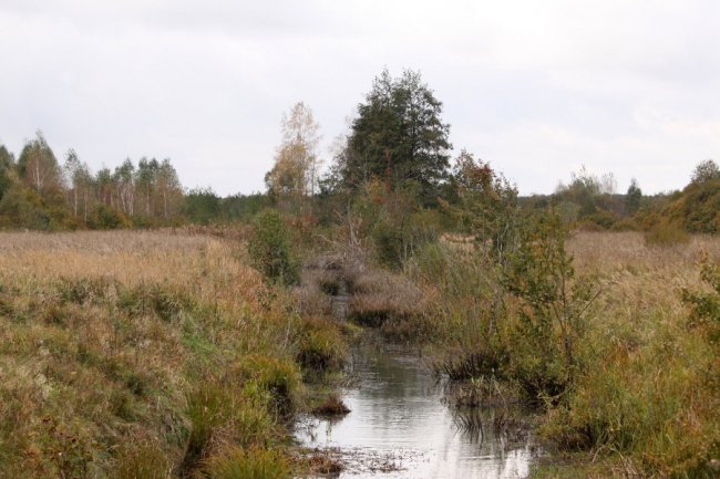 Давно забутий Трохимбрід на світлинах волинського фотографа