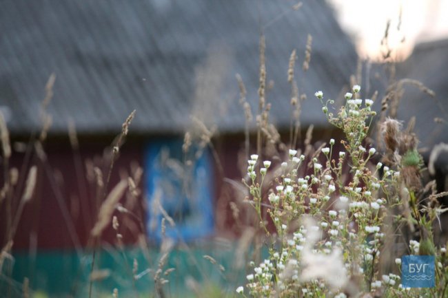 Показали вечірні краєвиди Володимир-Волинського краю. ФОТО