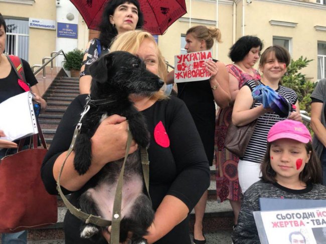 «Тварини - живі істоти»: луцьку мерію пікетували зоозахисники. ФОТО