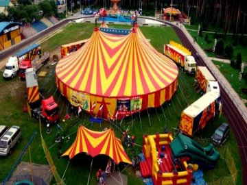 У Ковелі заборонили діяльність пересувних цирків з тваринами