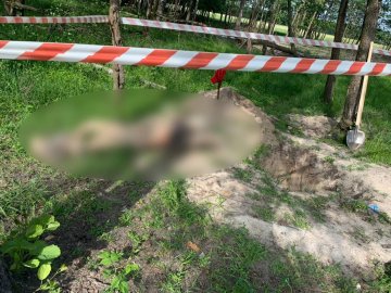 Вбили пострілом в потилицю: повідомили деталі вбивства волинянина на Київщині