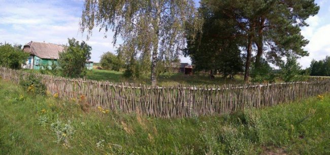 Натрапив на перлинку Полісся, – волинянин про хутір на околицях Світязя