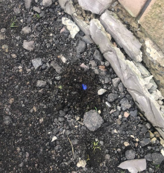 Чоловік з Одеси приїхав на Волинь розкладати «закладки». ФОТО