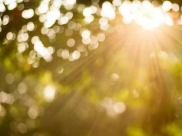 Погода на завтра, 12 травня, у Луцьку та Волинській області