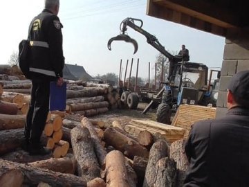 На Волині обшукали підпільні пилорами. ФОТО