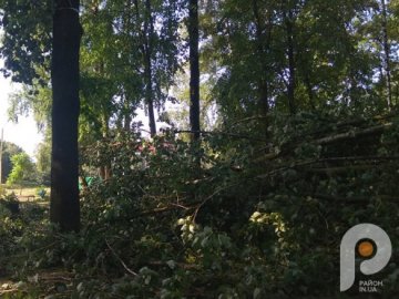 Вирвані дерева та розкриті дахи будинків: у волинській громаді негода наробила лиха