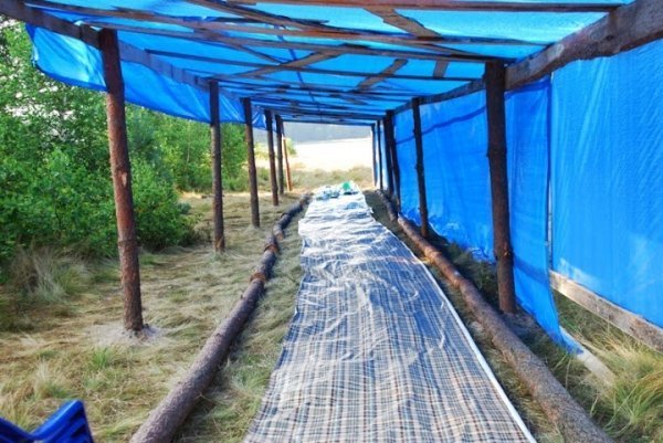 Як православних Волині вчили стрільбі, карате та протистояти сектам. ФОТО