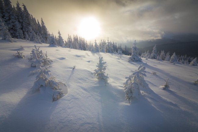 Луцький фотограф поділився світлинами засніжених Карпат