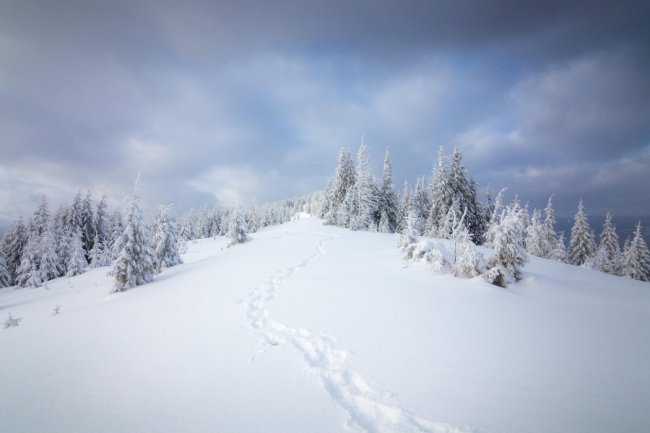 Луцький фотограф поділився світлинами засніжених Карпат