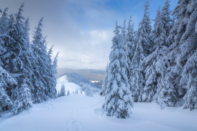 Луцький фотограф поділився світлинами засніжених Карпат