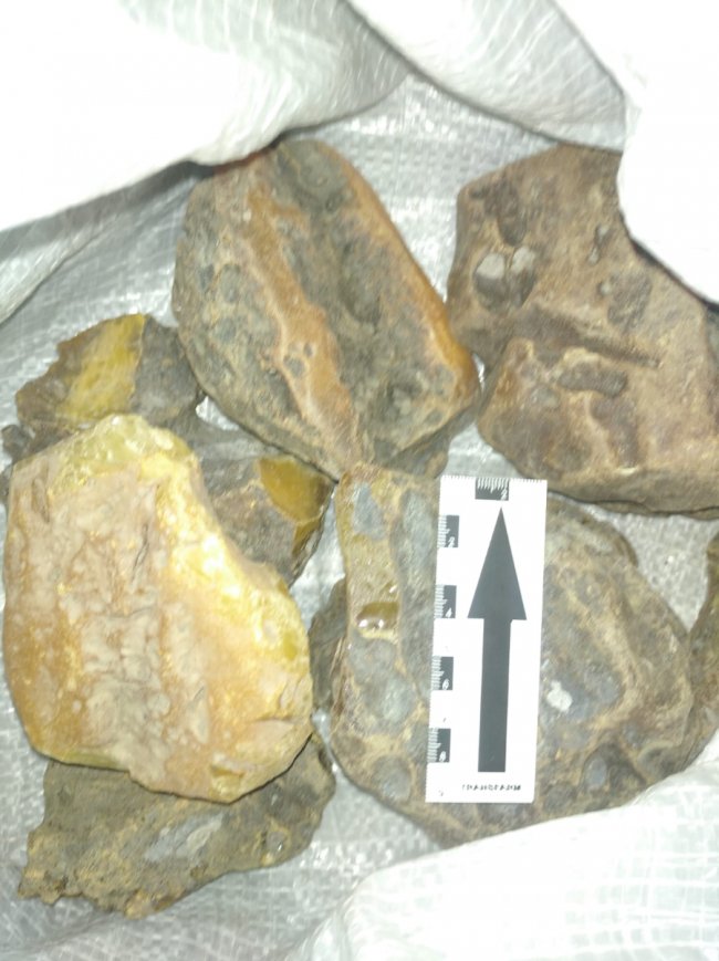 Через «Ягодин» хотіли вивезти 230 кілограмів бурштину. ФОТО