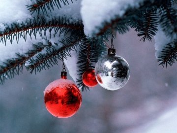 На різдвяно-новорічні заходи Луцькрада витратить майже 20 тисяч