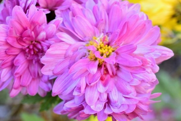 Луцьк осінній: краса на фото