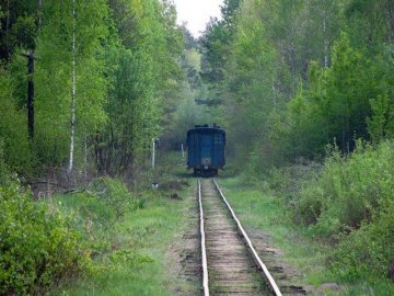 На Волині злодій  викрав із вузькоколійки рейки 