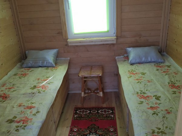 На Волині можна спробувати лікувальний сон на бджолиних вуликах