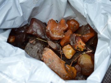 Волинський суддя повертає вилучений бурштин