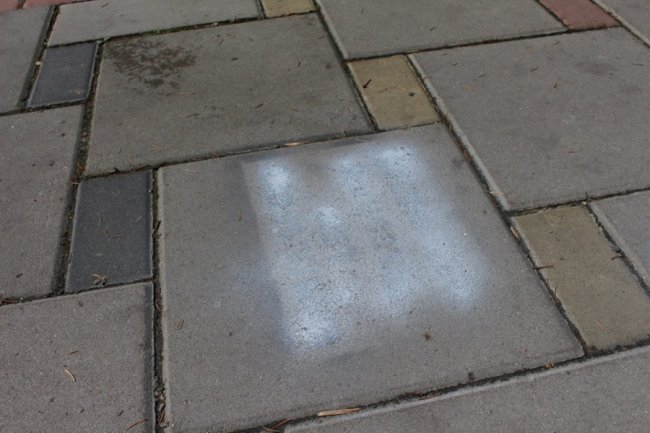 «Стоп наркотик!»: як у Луцьку боролися з небезпечною рекламою. ФОТО