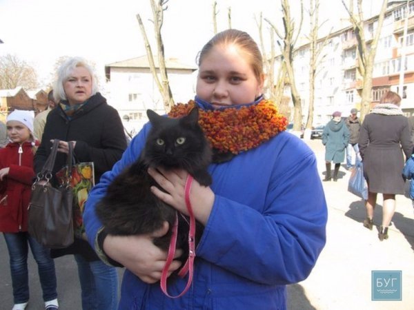 У Володимирі “Весняний  муркотун” зібрав гостей. ФОТО