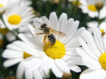 12 червня – яке сьогодні свято і що не можна робити у цей день