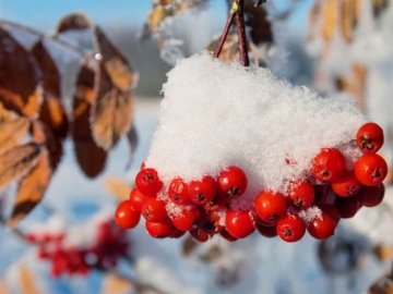 Погода у Луцьку та Волинській області на завтра, 21 листопада