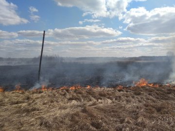 На трасі Ковель-Ягодин вночі горіло 1,5 гектара трави