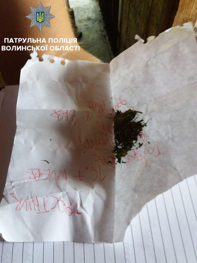 У Луцьку психічнохворий чоловік ледь не побив поліцейських та медиків. ФОТО