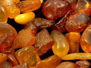 Вилучений волинськими митниками бурштин оцінили в понад мільйон