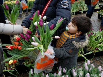 У Нідерландах безплатно роздали 200 тисяч тюльпанів