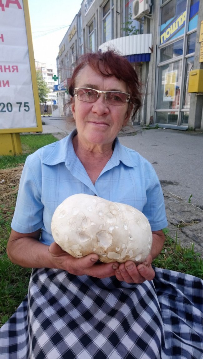 Волинянка знайшла гігантського гриба. ФОТО
