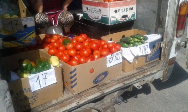 Луцькому зоопарку та госпіталю віддадуть півтонни конфіскованих овочів. ФОТО