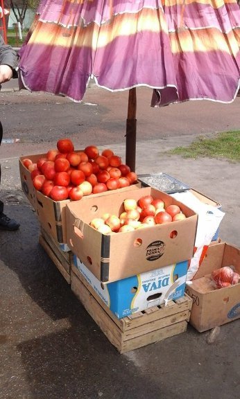 Луцькому зоопарку та госпіталю віддадуть півтонни конфіскованих овочів. ФОТО