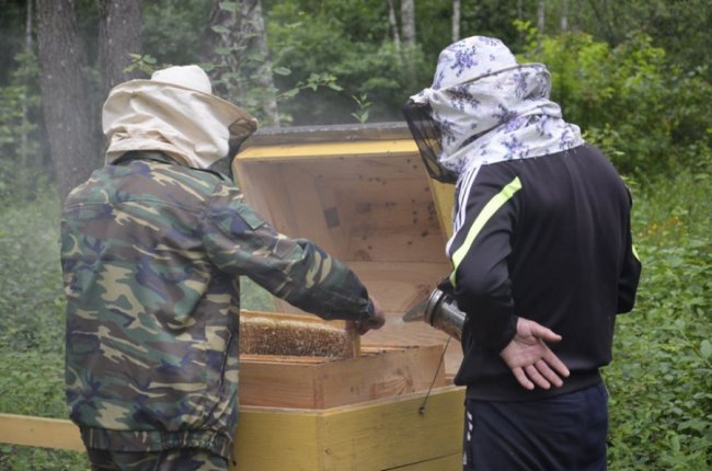 На пасіці Шацького нацпарку викачали перший мед. ФОТО