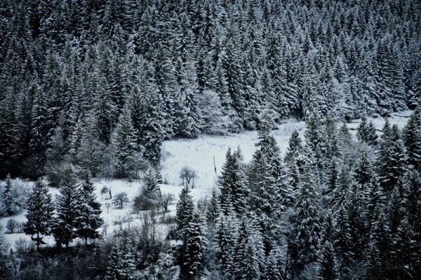 Фотовиставка Уляни Макар